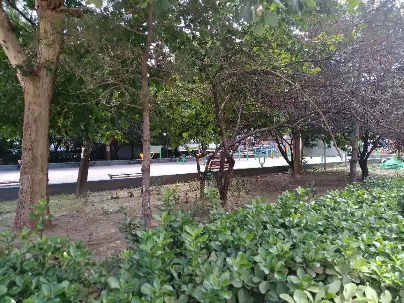 小区图